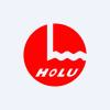 Anhui Honglu Steel Construction Group Co Ltd Class A
